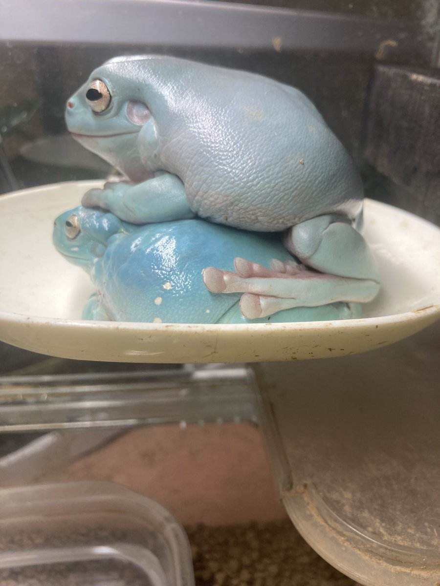 おはようー🥰
それはリーがしんどいんじゃない？🤣