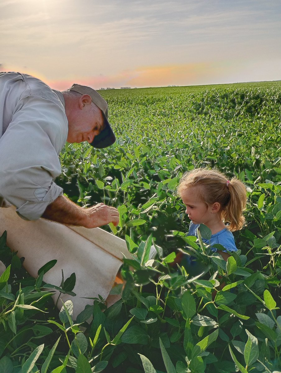 Fer Tagliabue tweet media