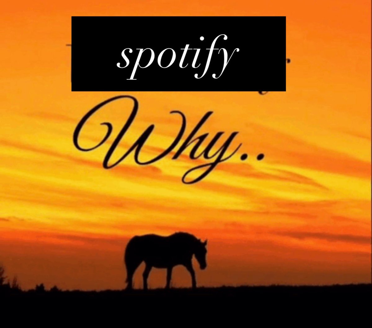 newhaven 🌿 tweet media