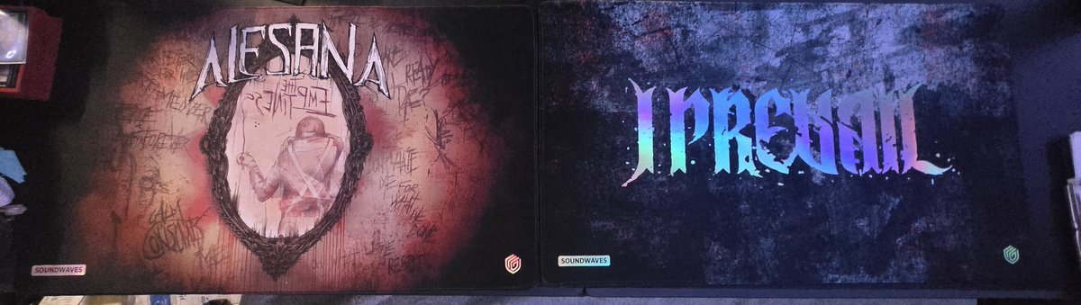 Soji and I got these sick af playmats a bit ago and as much as I love them, I really need a <a href="/TheHomeTeamNW/">The 🇵🇸FREE PALESTINE🇵🇸 Team 🏡</a> playmat now that I know its possible 👀👀 specifically with the slow bloom art 😩👌