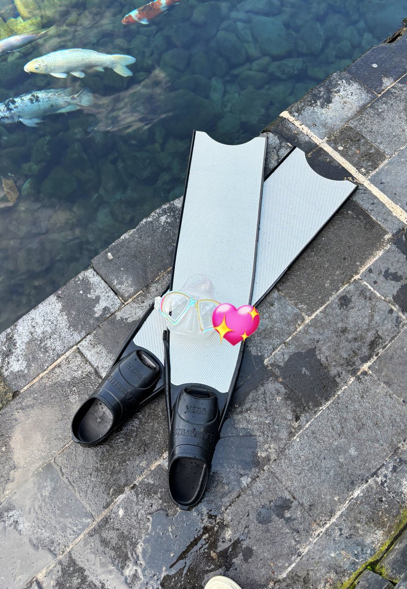 kreweilla's tweet photo. sewa / want to rent
fins ukuran 33-34 
leaderfins fiberglass soft
ukuran sepatu biasa 37-38
dom jakarta
pricelist dm yaa

#wanttorent #fins #freedive https://t.co/4IFlG6hO16