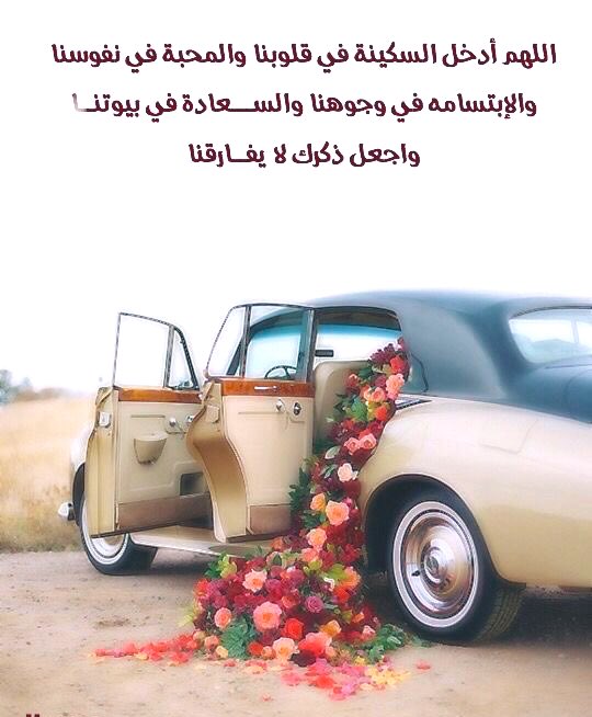 اللهم أدخل السكينة في قلوبنا والمحبة في نفوسنا والإبتسامة في وجوهنا والسعادة في بيوتنا واجعل ذكرك لا يفارقنا.الله يصبحكم على فضله.