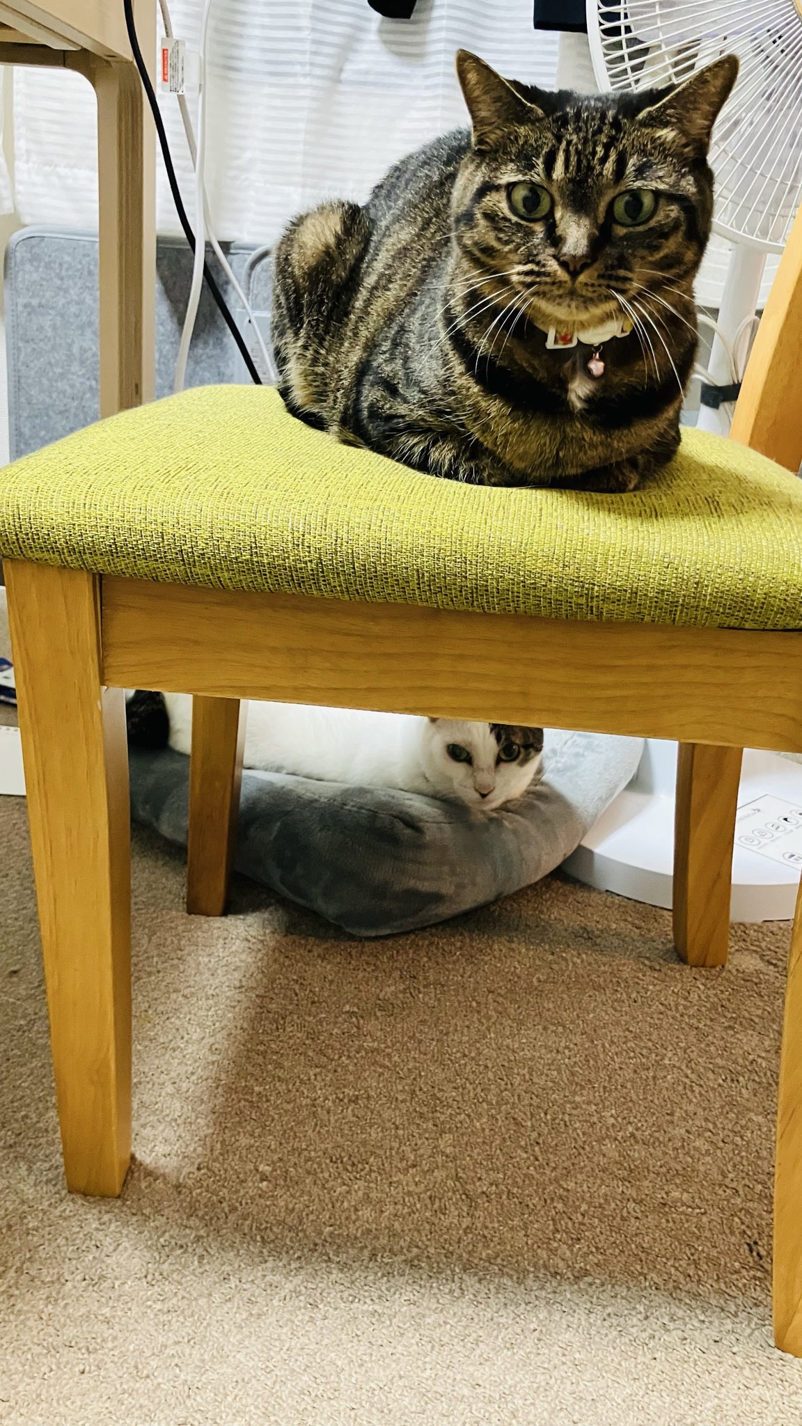 モトイチ (@motoichi561) / X