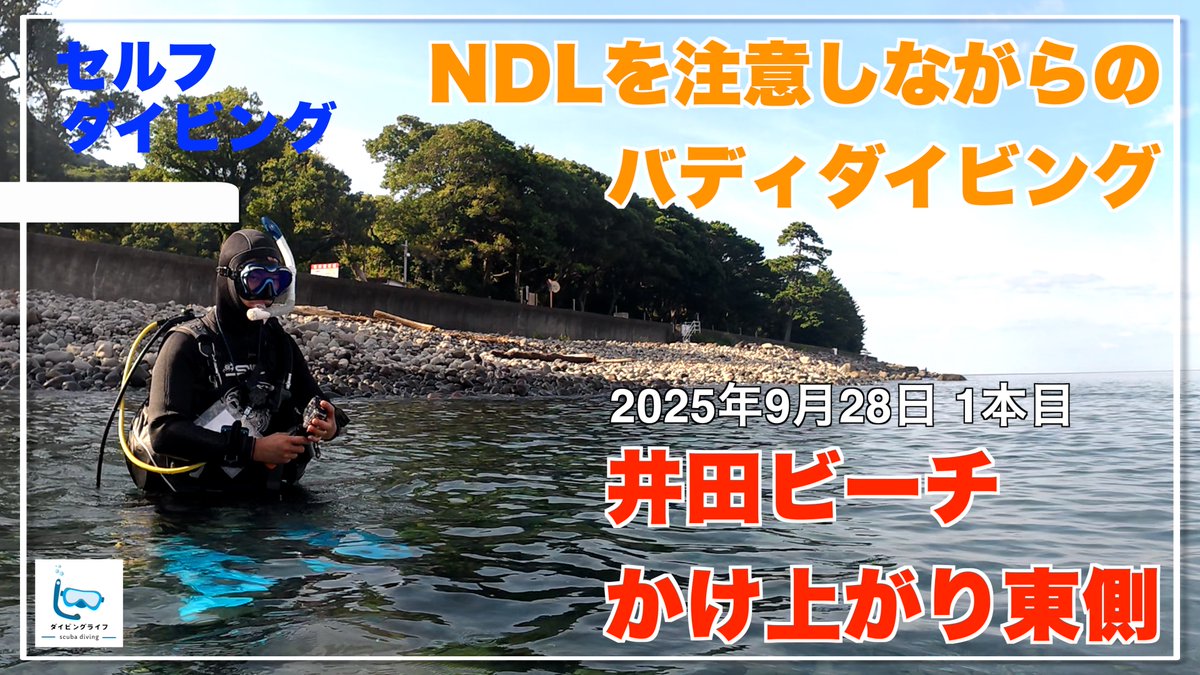 pac_captain2020's tweet photo. 井田ビーチは水深のあるエリアも多くNDLをバディと意識しながら潜ってきました
バディダイビングでは残圧やNDLの状況を自分とバディの両者が共有するのが大切だと思っています！

バディダイビングでNDLを意識しながら井田ビーチを楽しんで来ました
https://t.co/GV1mFmgwlB

#ダイビング #diving https://t.co/PjueFXAdQJ