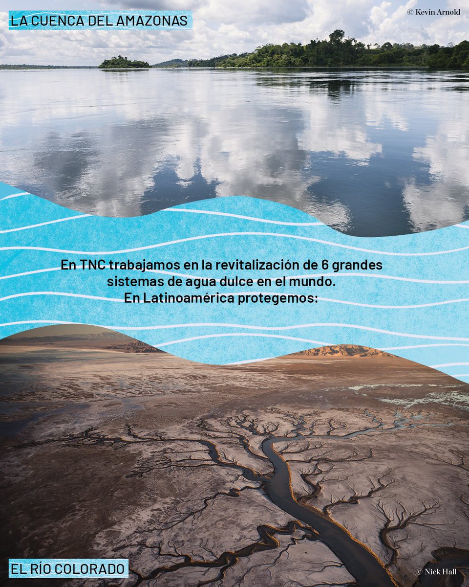🌊 Los ríos son el sistema circulatorio del planeta: llevan vida a través de ecosistemas terrestres, de agua dulce y marinos. En TNC queremos conservar 1 millón de km de ríos para 2030 —¡suficiente para rodear la Tierra 25 veces! 💧
Conoce más en nature.ly/47q5ahD