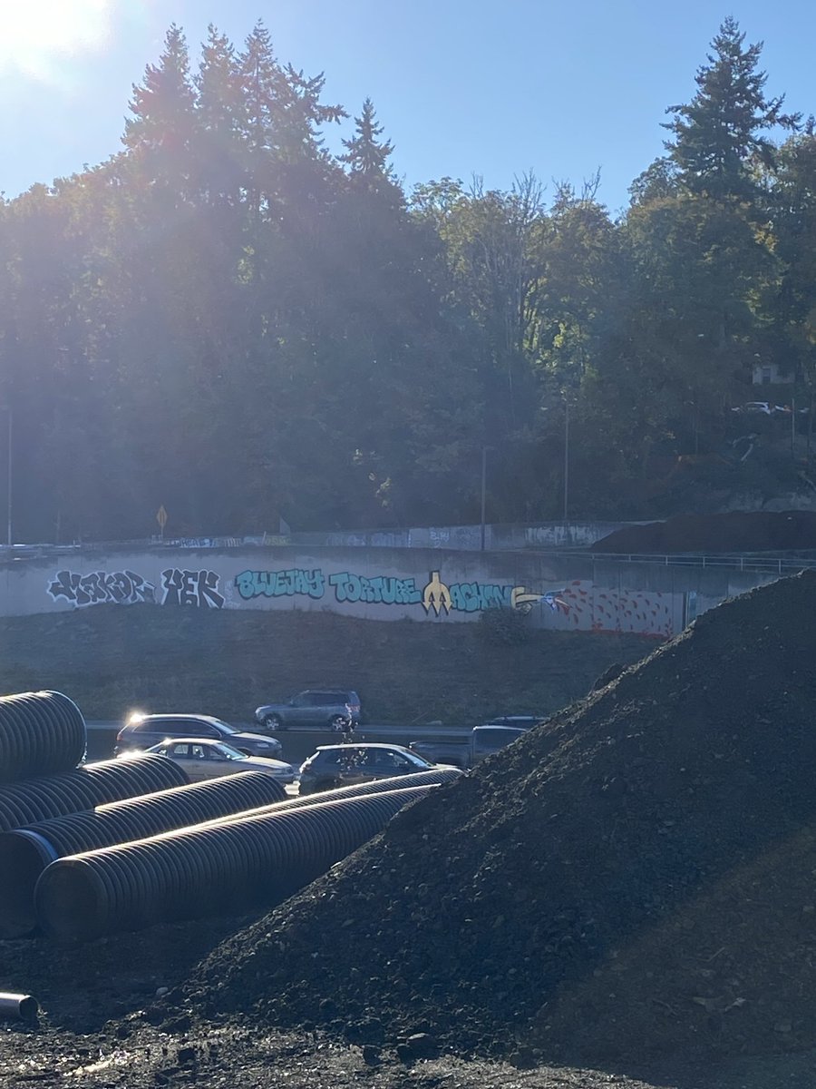 ClancyCrush's tweet photo. @MLBONFOX @Mariners @komonews @KING5Seattle 

#seattlegraffiti #MLBPlayoffs #SeizeTheMoment https://t.co/tuwtYm3DnP