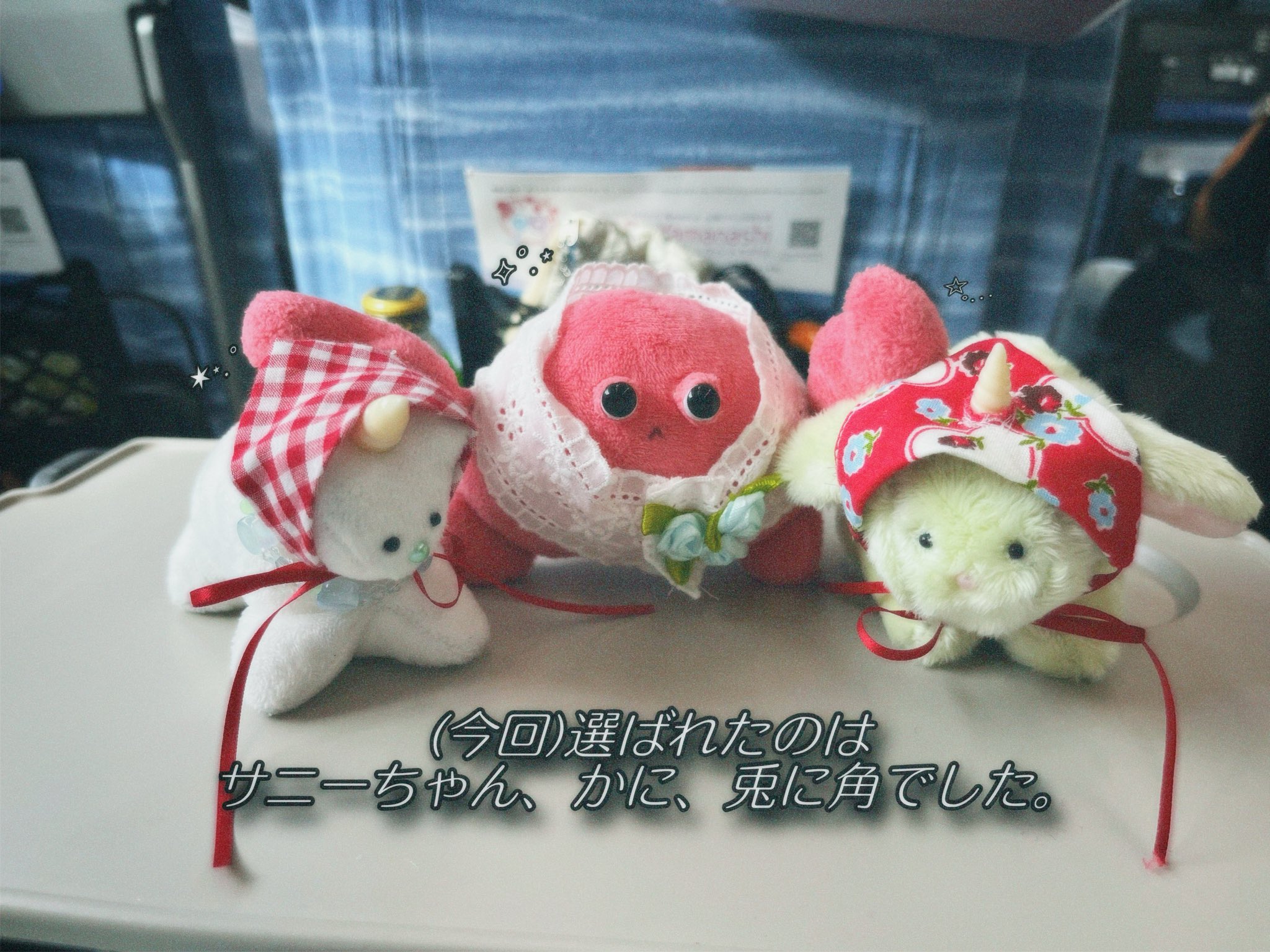 あもーれ❗ページ①【ぬいぐるみオーダー】 あもーれ❗ページ①【ぬいぐるみオーダー】 amouRiam ♛(あもー