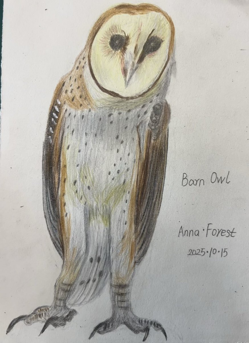 zuowang🇨🇦 (@zuowangpoet) on Twitter photo 