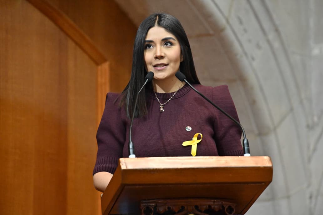 Por parte del GP #PAN, la Dip. Emma Laura Álvarez Villavicencio y el Dip. <a href="/PabloDeCevallos/">Pablo Fernandez De Cevallos</a>, proponen reformas al Código Administrativo para que se agregue la fracción V: “Implementar programas de capacitación, certificación y profesionalización del personal operativo de tránsito,