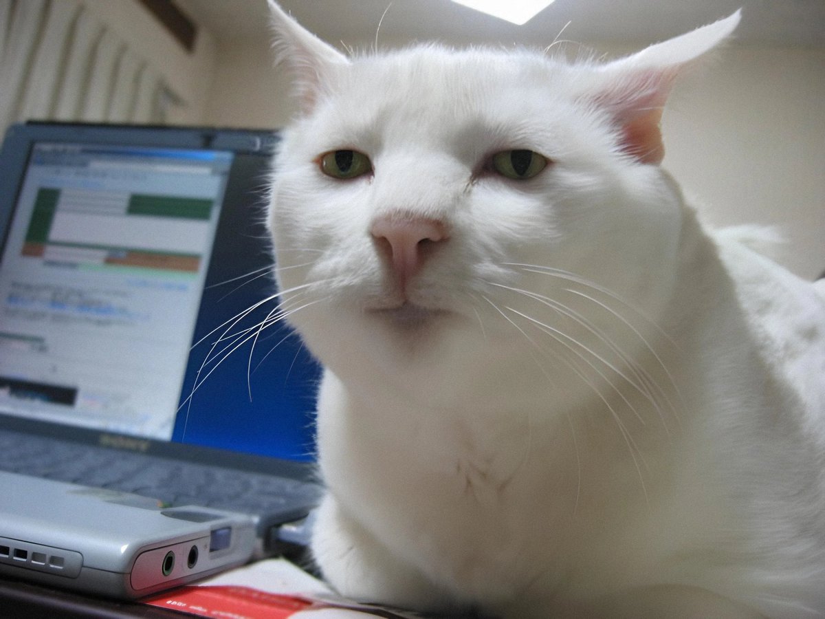 AI_Imaginexxx's tweet image. 8iJhFLFq2SHhZBGKpKK2DfsSaJ62JZRn18dmX3sbpump
