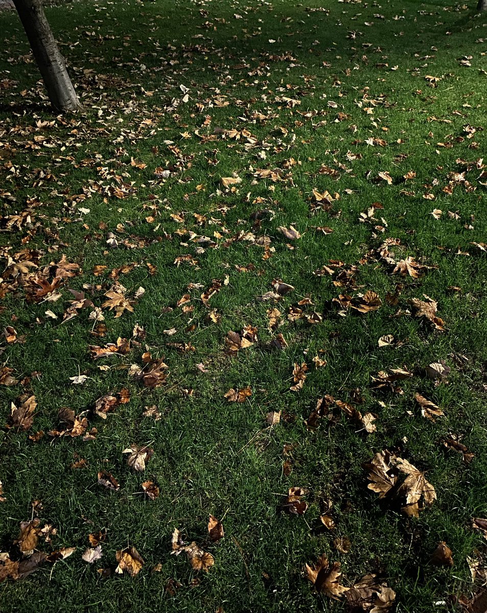 İki güzel söz 🍁