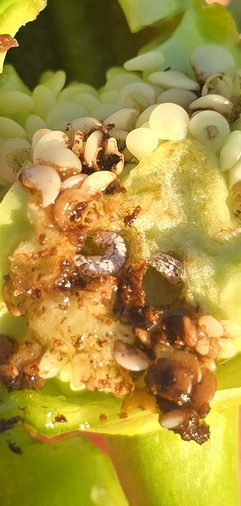 Tim Flanders tweet media