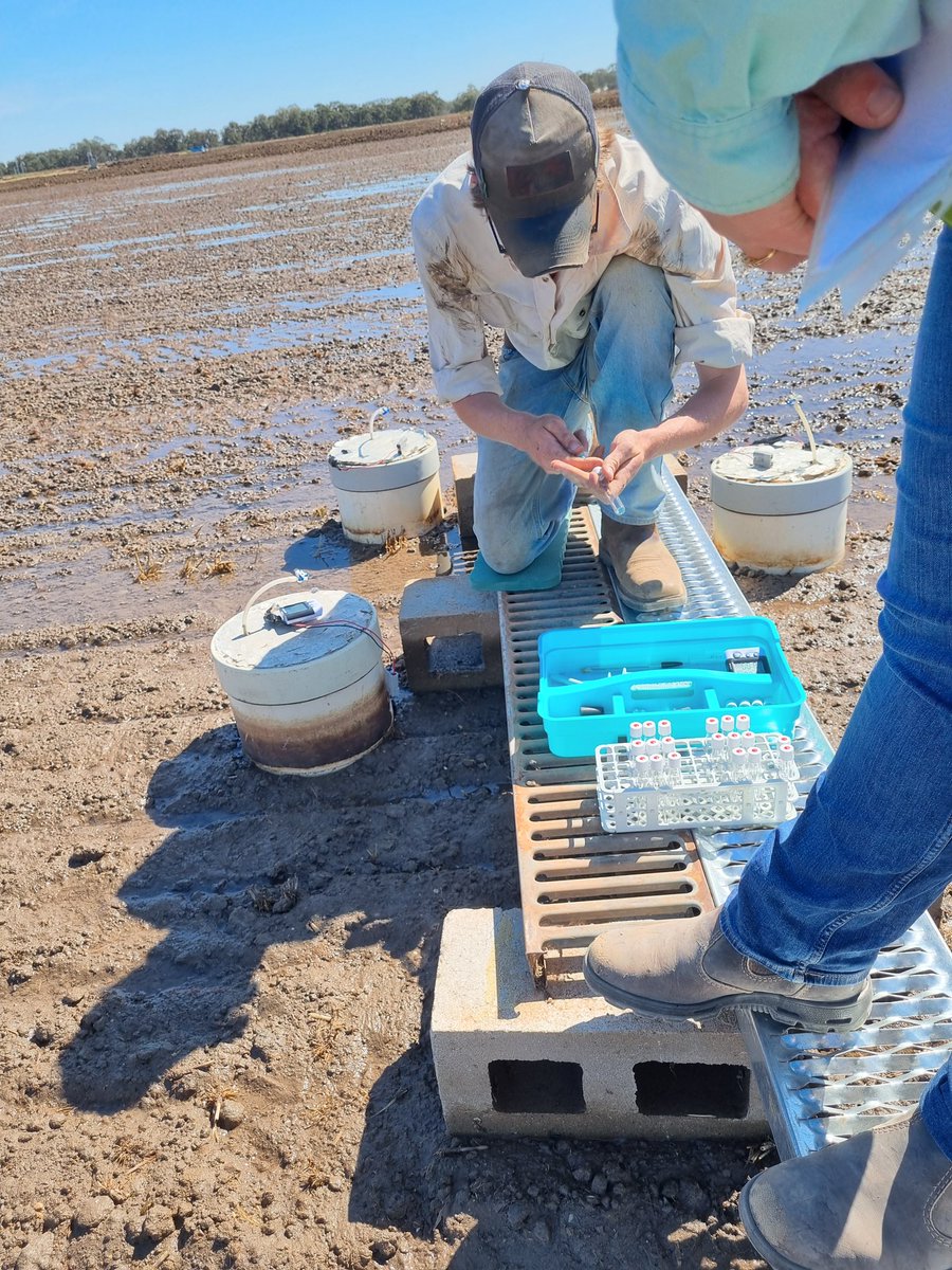 CeRRF_Griffith tweet media