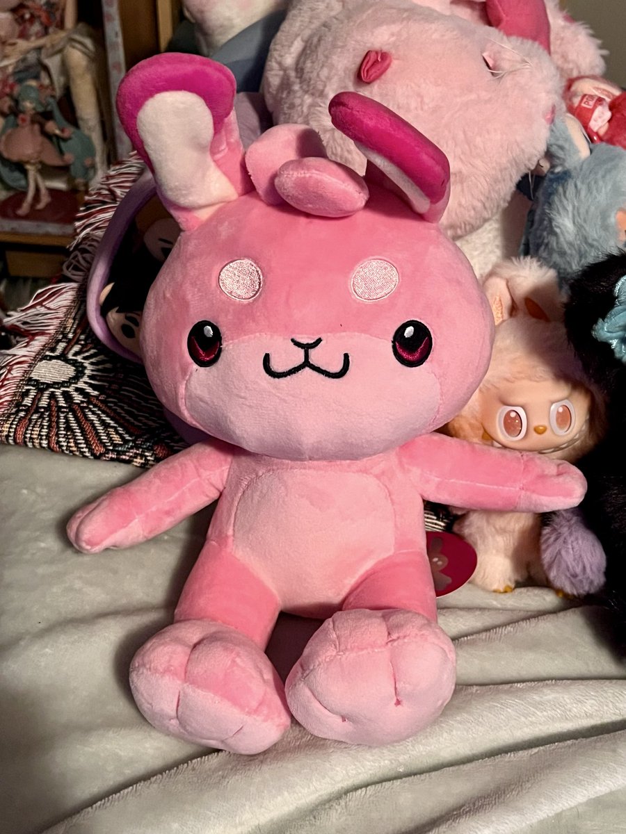 elfinder's tweet photo. My little bun boy was finally freed from postal strike jail! He’s so cute.  Way bigger than I thought too! @ShiaBun https://t.co/RQEuw1ugUz