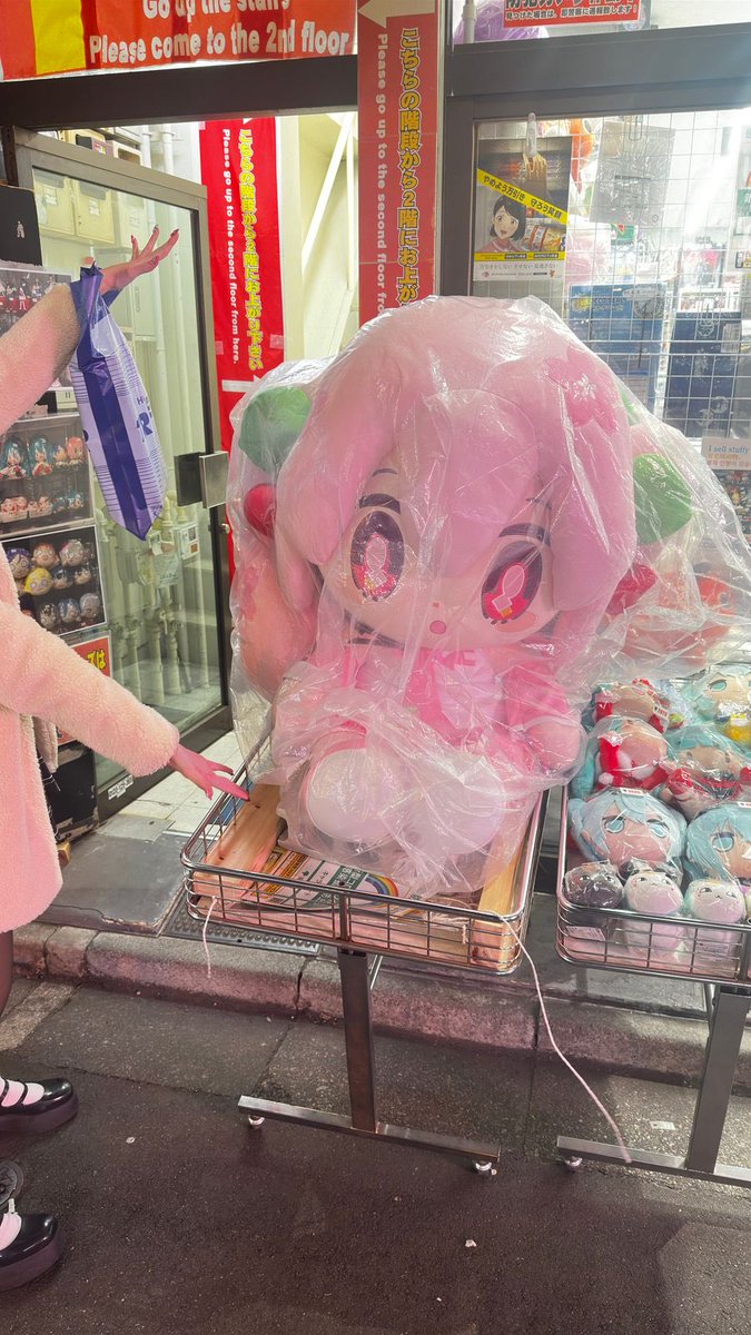 Daninha 🐹 (@ermianahime) on Twitter photo 