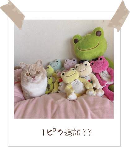 【Today’s pickles】#かえるのピクルス #picklesthefrog 
#todayspicklesofficial #萌蛙匹克 #泡菜青蛙
pickles-home.com/contest/
みんなでピクルスの写真を投稿しよう♪
応募期間：2025年10月01日〜2026年03月31日
結果発表：2026年5月上旬