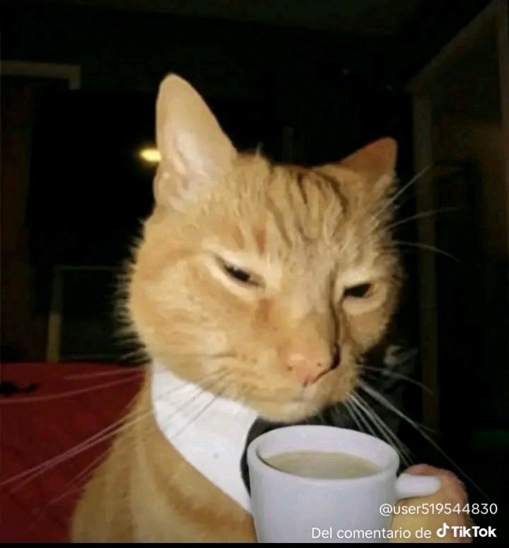 ElJoySick tweet media