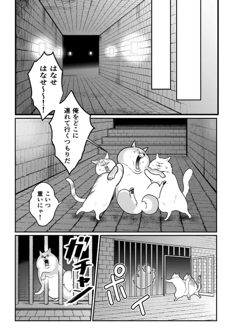 ねこに捕まった柴犬 #ちくわ戦記 
