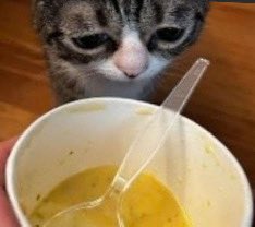 popompurim's tweet photo. comi o miojo frio e olhando pra parede, espero que esteja feliz youtube https://t.co/Wy1S25ME9T