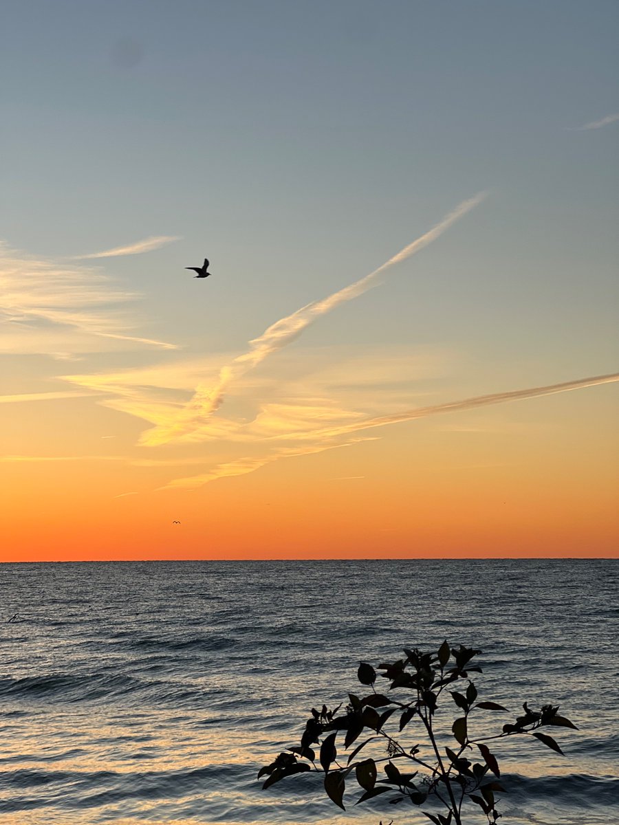 SophiaPriya's tweet image. Describe this image, how do you feel when you look at this photo?
