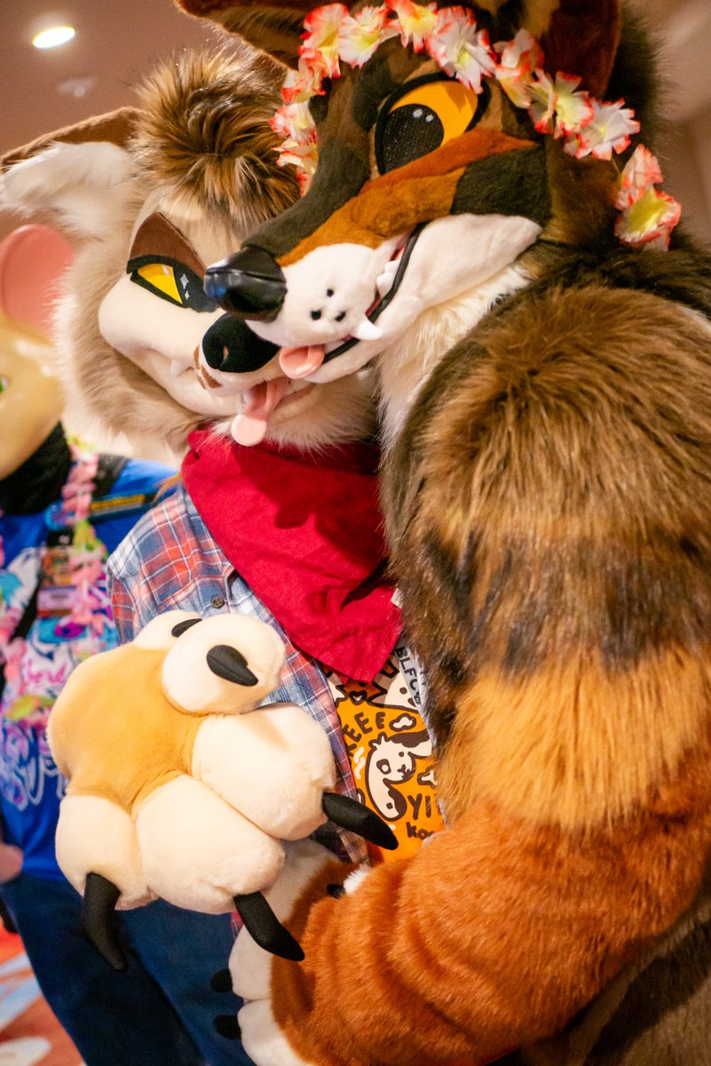 Found a <a href="/NavarroYote/">Navarro Yote</a> at BLFC!