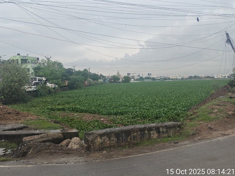 omjasvinMD's tweet image. Condition of #Narayanapuram near Chennai’s IT-Hub Chennai-One. If lakes looked like this before monsoon, how will water drain.