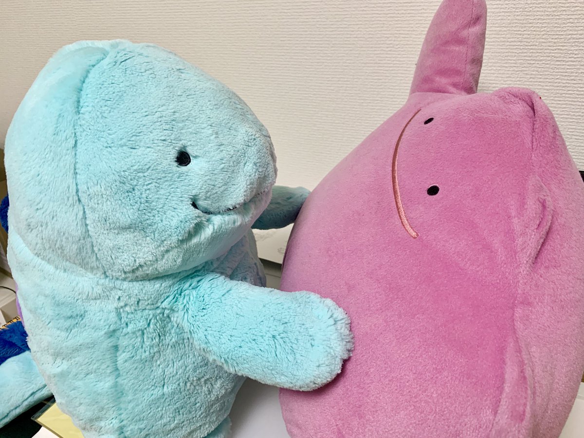 大きいヌオちゃんには、メタモンのお友だちがいます🩵💜

会いたかったぬ！(˙𐃷˙)✨

#ヌオーのいる生活 #ヌオー