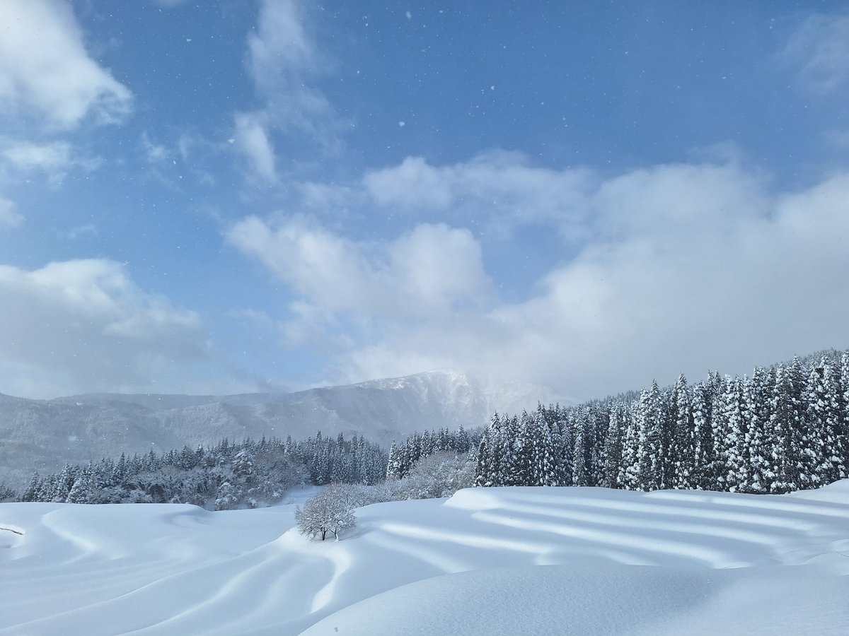 family_auto_ky's tweet image. 【2026年　雪ロケ予定】
1月17.18日(土日)余呉の集落
1月24.25日(土日)ウッディパル
1月31.2月1日(土日)ウッディパル
2月7.8日(土日)ウッディパル
2月11日(水祝)ｳｯﾃﾞｨﾊﾟﾙ又は余呉の集落
2月14.15日(土日)ウッディパル
2月21.22(土日)東鉢伏 翠山荘
2月28.3月1日(土日)余呉の集落…