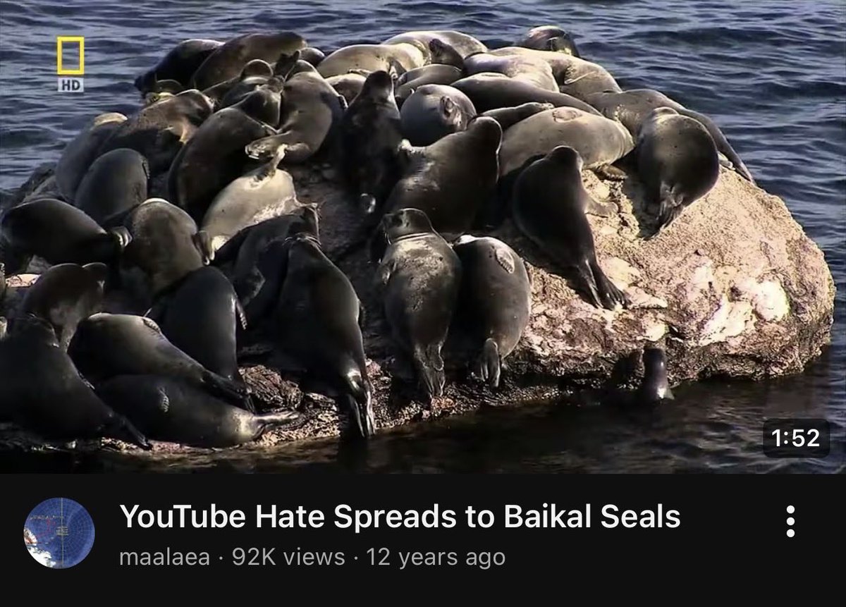 youtube hate spreads to baikal seals