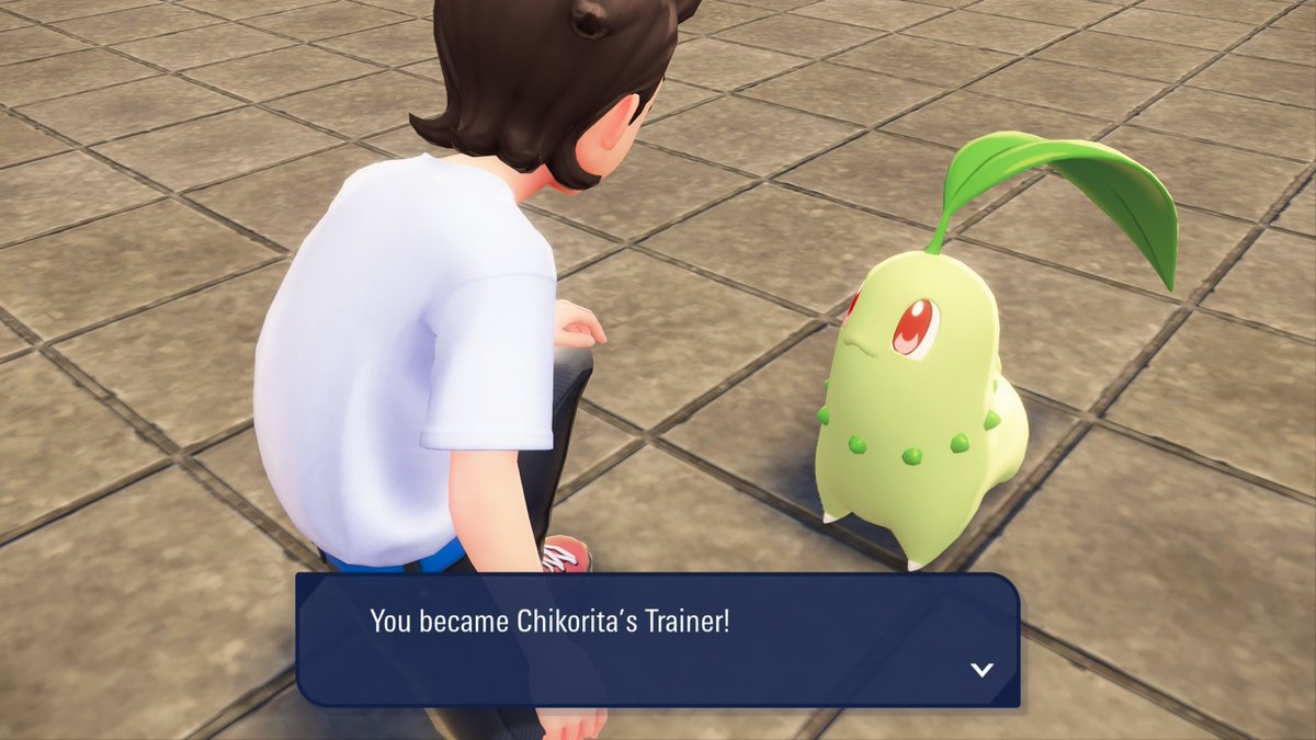 Chikorita was my very first Starter back in Silver. Happy to begin another journey with it in #legendsZA