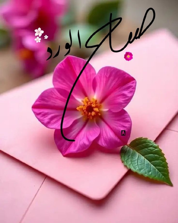 #بوح_lلخاطر

 #صباح_الخير

صباحي يشبه سطرًا أول في رواية جديدة، 
لا أعرف إن كانت سعيدة أم حزينة، 
لكني أبدأها بابتسامة