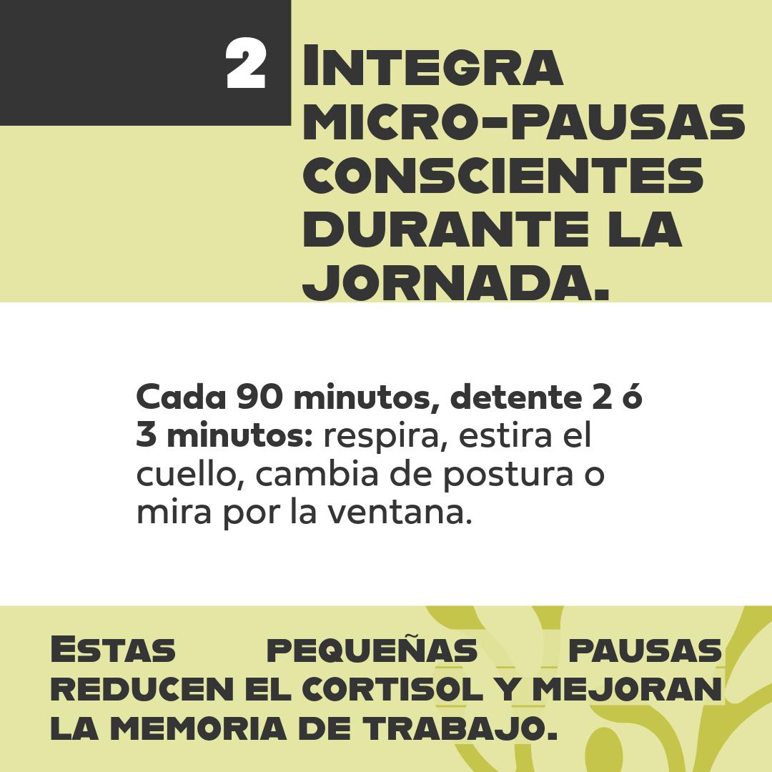 RECEMX AC tweet media