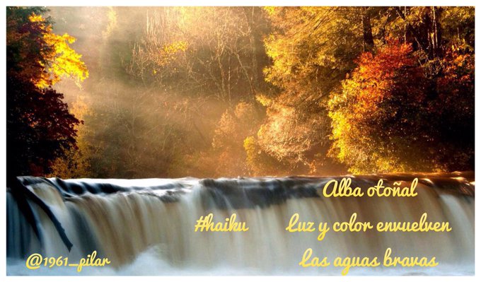 Un nuevo amanecer ¡Buenos días!

Alba otoñal...

~haiku~

#LYF15  #VAFlorDePiel