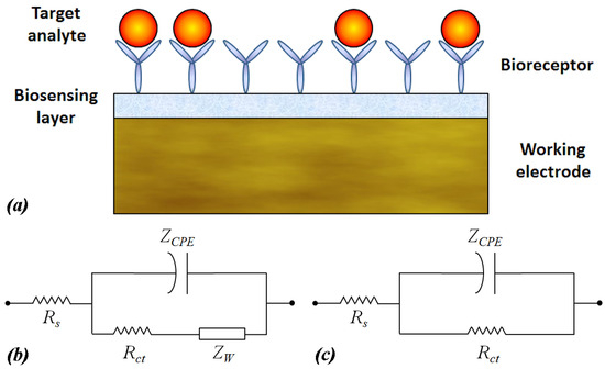 📢 New Paper Out!

“Data Analysis of Electrical Impedance Spectroscopy-Based Biosensors Using Artificial Neural Networks for Resource Constrained Devices”

🔗mdpi.com/2079-9268/15/4…

Explores using simple ANN models to replace heavy circuit-fitting approaches in EIS biosensors.