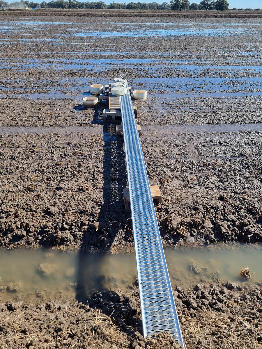 CeRRF_Griffith tweet media