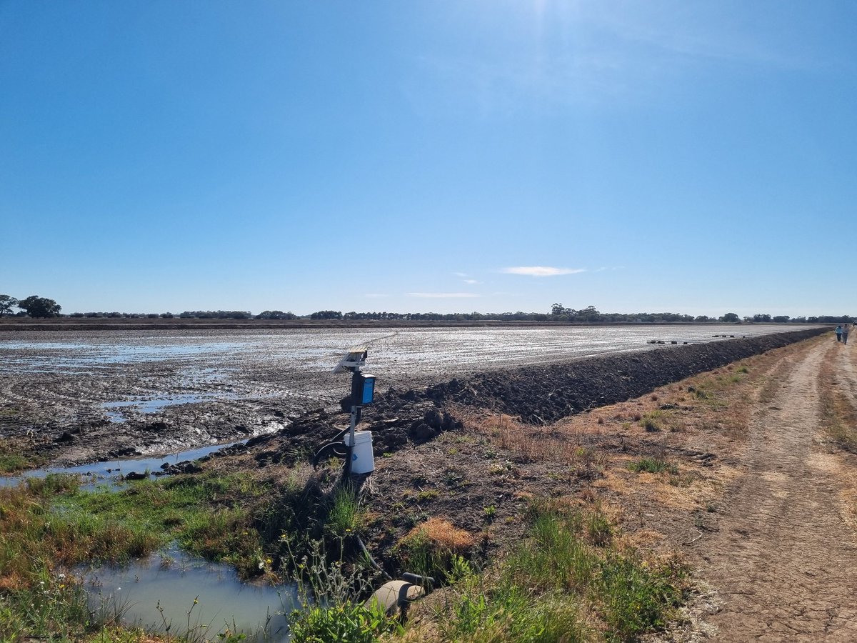 CeRRF_Griffith tweet media