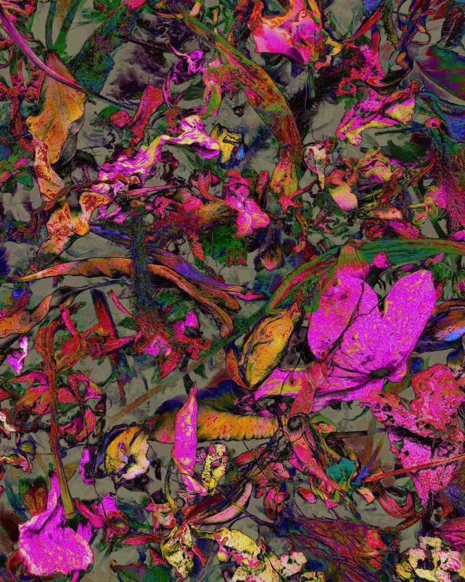 FOCUS Art Fair tweet media