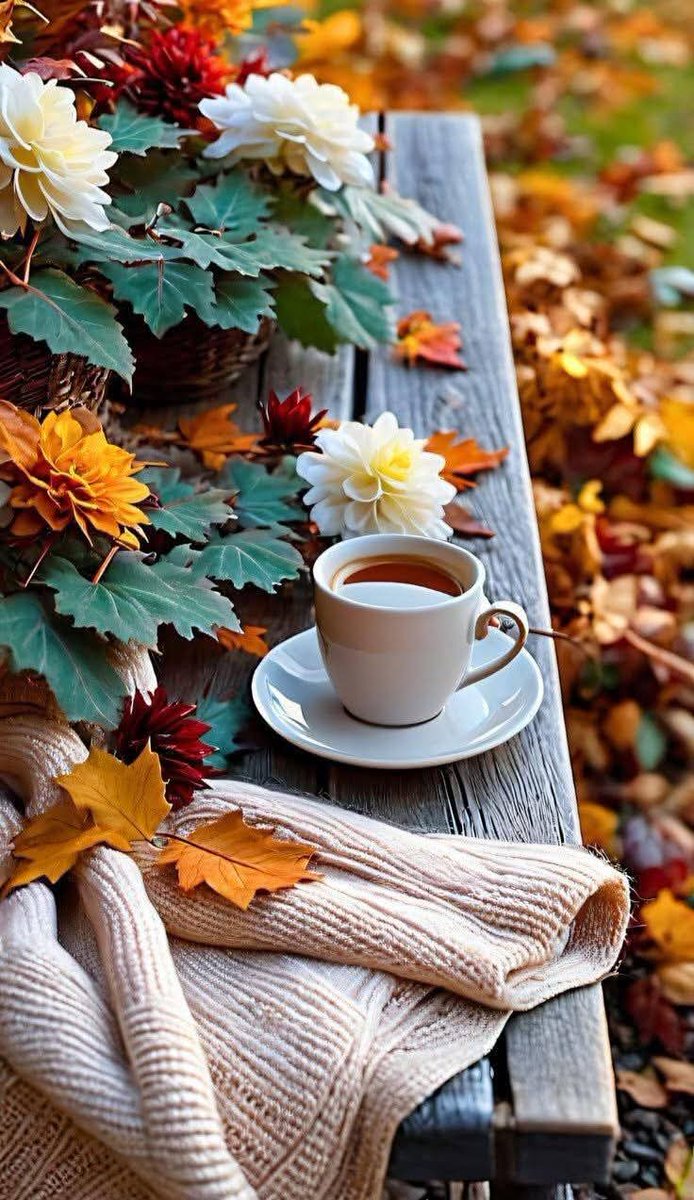 Jesen u mom sokaku
Jutro drugari