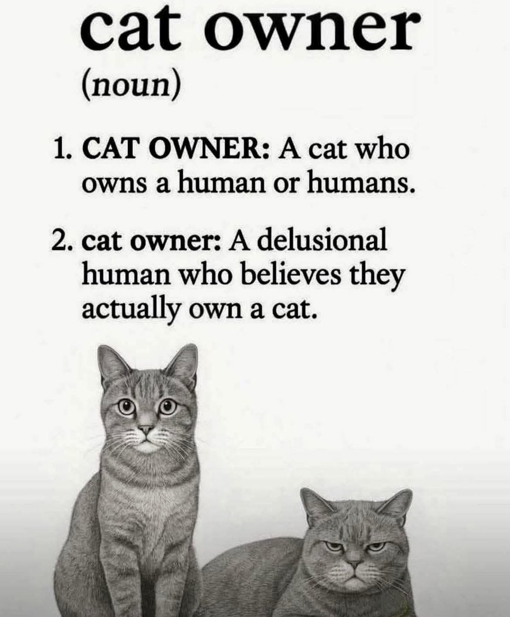 Good morning Twitter Chums. Happy #Purrsday
