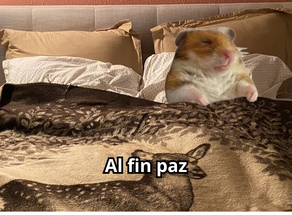 El Guarromántico tweet media