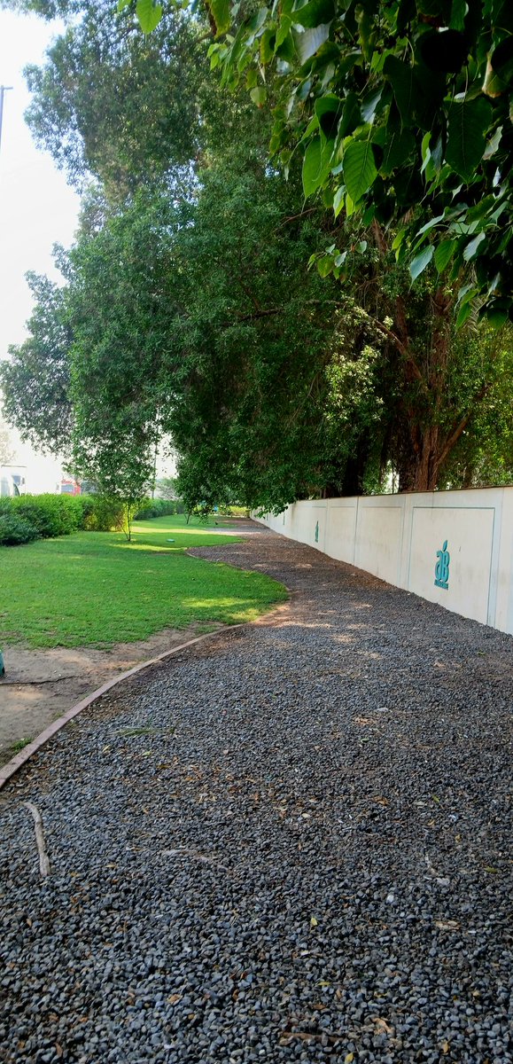 Snook (@snokevergmailc1) on Twitter photo 