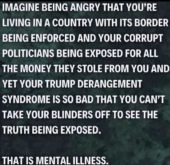 LeahRain77's tweet photo. I looked up the definition of Mental Illness 👇🏼👇🏼 https://t.co/uvpqBSdowa
