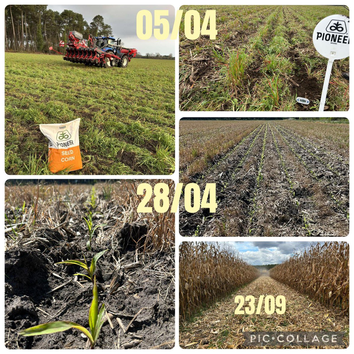 Mathieu Bonnehon tweet media