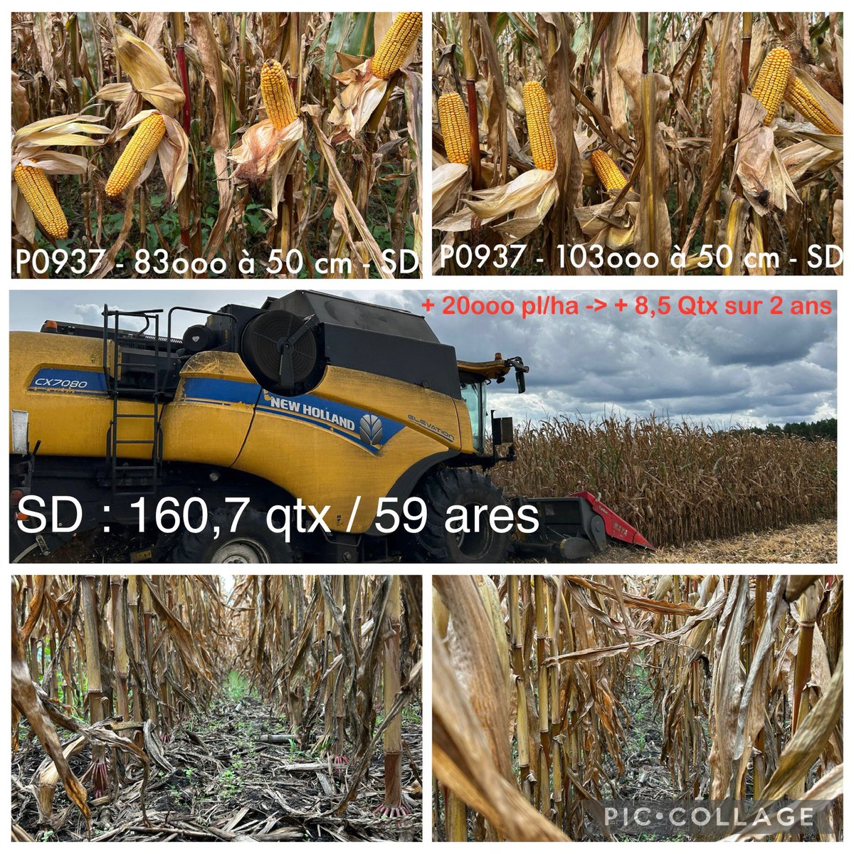 Mathieu Bonnehon tweet media