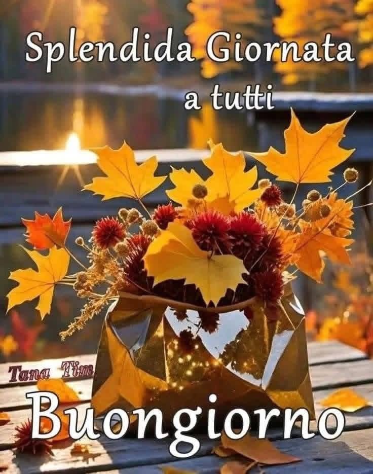 RITABIANCHi56 tweet media