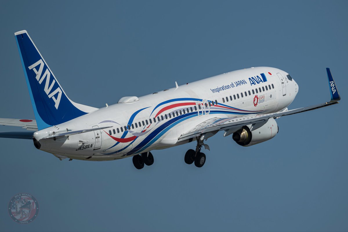 Wild Weasel tweet media