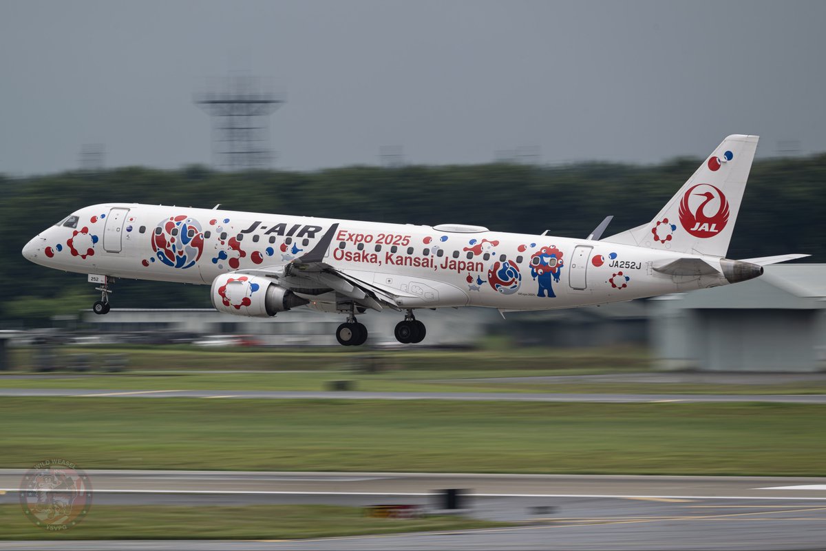 Wild Weasel tweet media