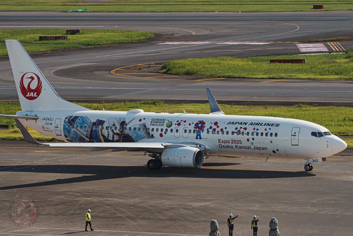 Wild Weasel tweet media