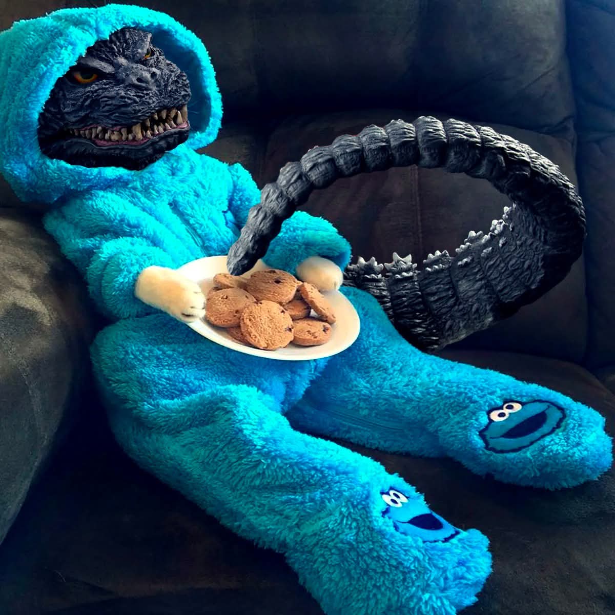 Dis what zilla do on hims days off