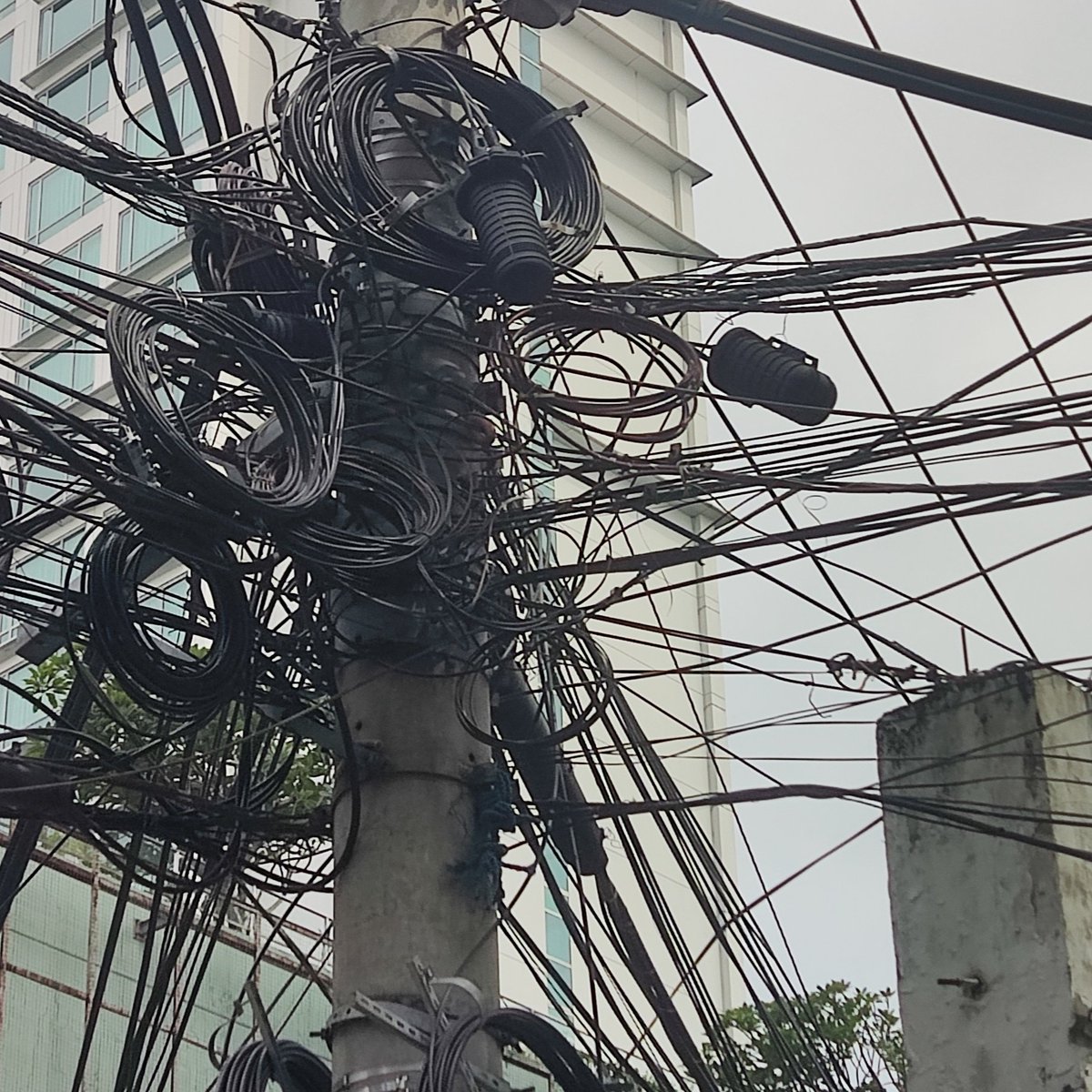 IS THAT A JOJI REFERENCE!?